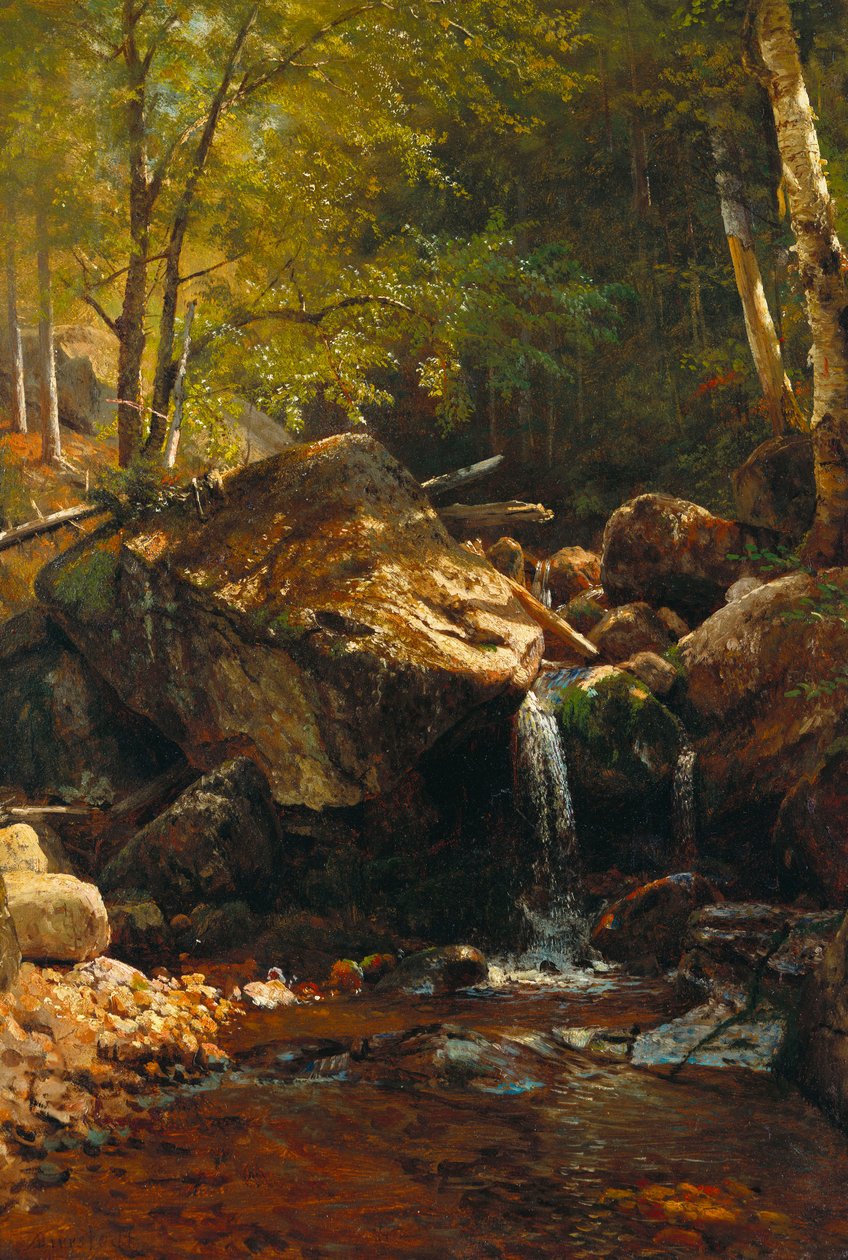 Thompson Çağlayanı, Beyaz Dağlar by Albert Bierstadt
