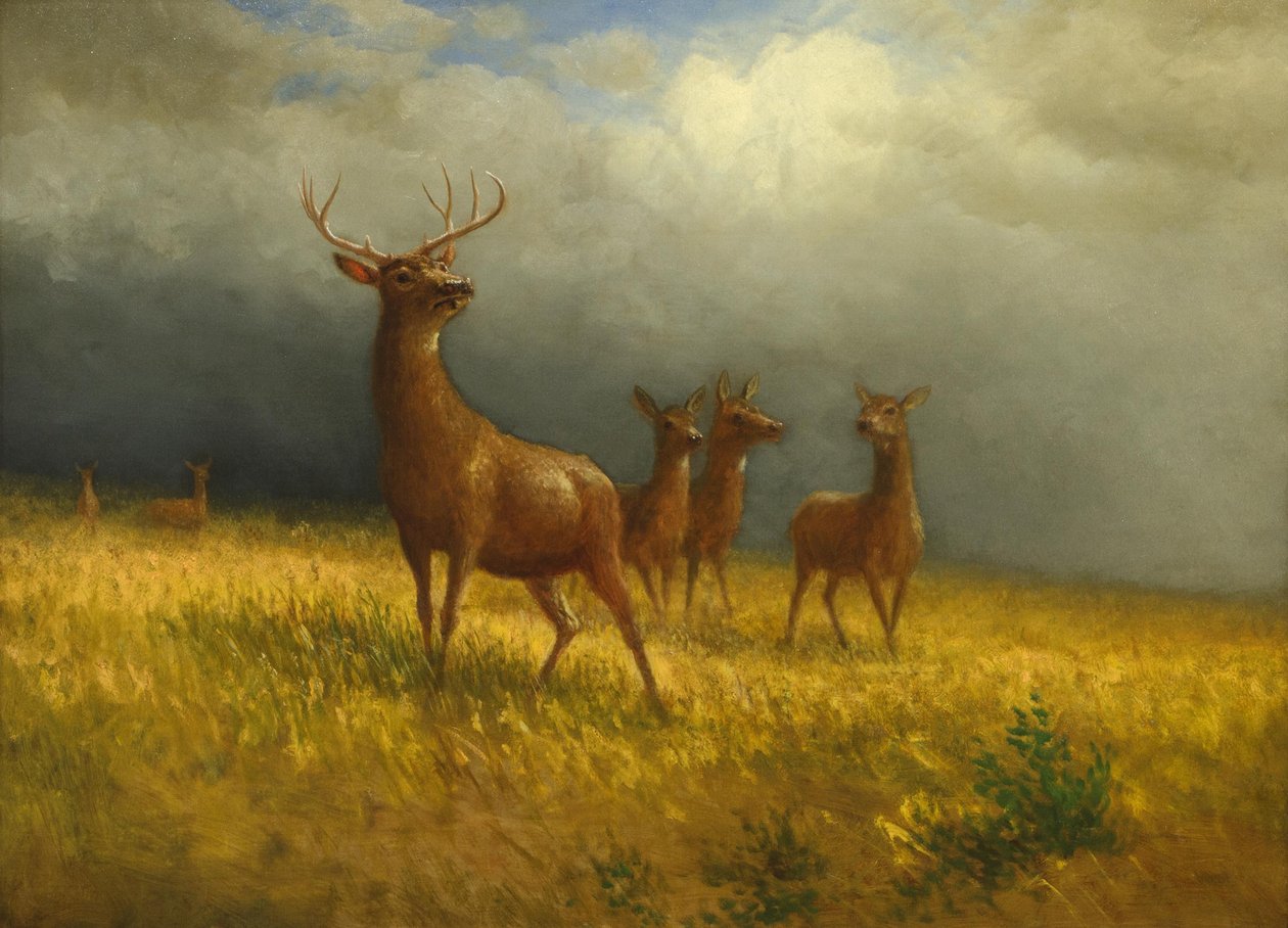  by Albert Bierstadt