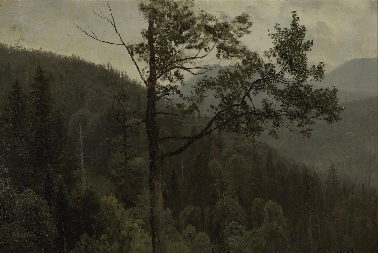  by Albert Bierstadt