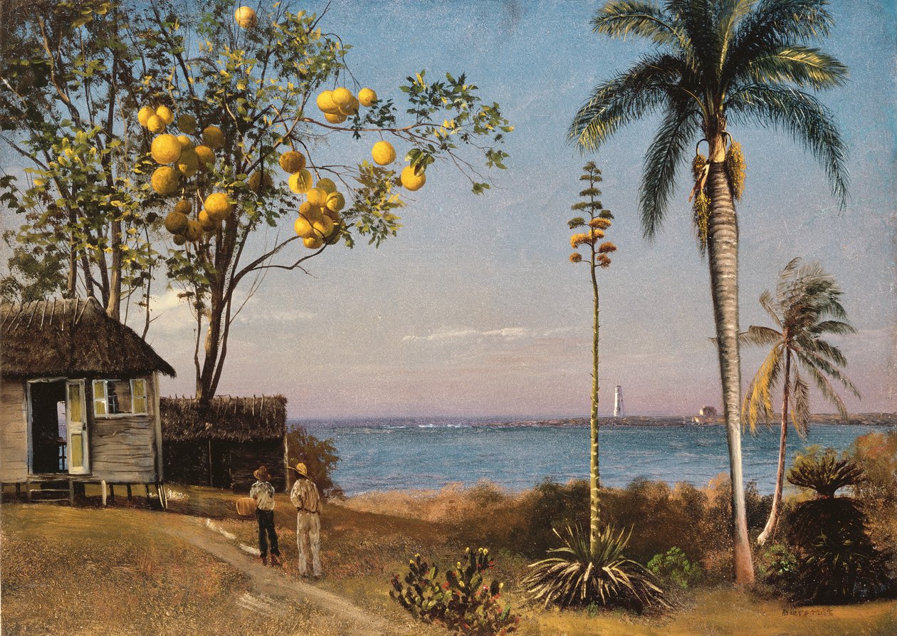 Tropikal Sahne by Albert Bierstadt
