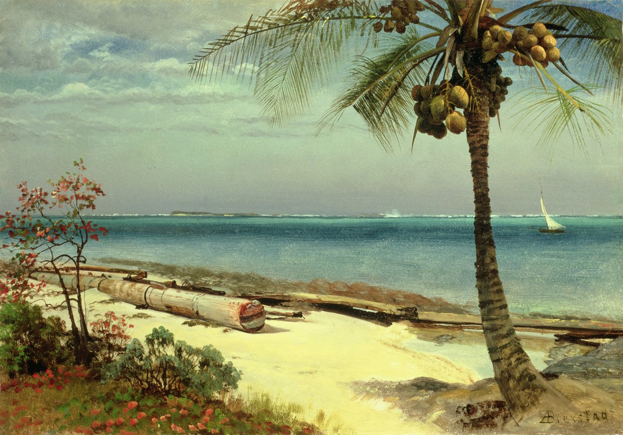 Bilinmeyen resim by Albert Bierstadt