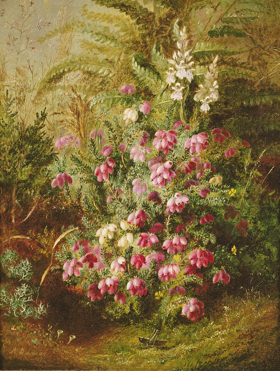 çekirge ve funda by Albert Durer Lucas