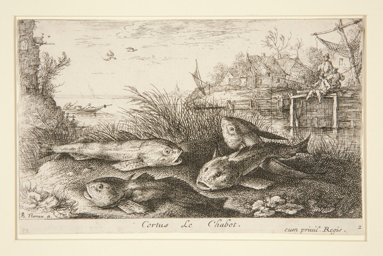 Cortus, Le Chabot by Albert Flamen
