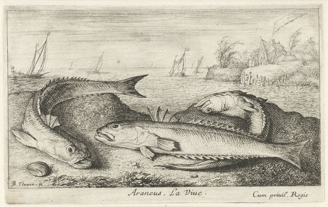 Sahilde üç benekli yabani ot Araneus. LaVie. (nesne üzerindeki başlık) Balık ve diğer deniz canlıları - tuzlu su ikinci serisi (dizi başlığı) Poissons de mer (dizi adı) by Albert Flamen