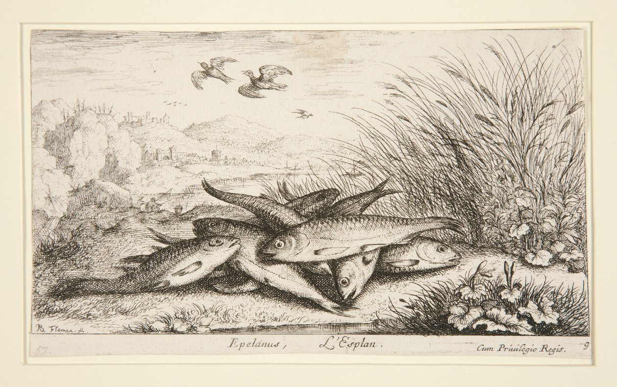 Epelanos, L by Albert Flamen