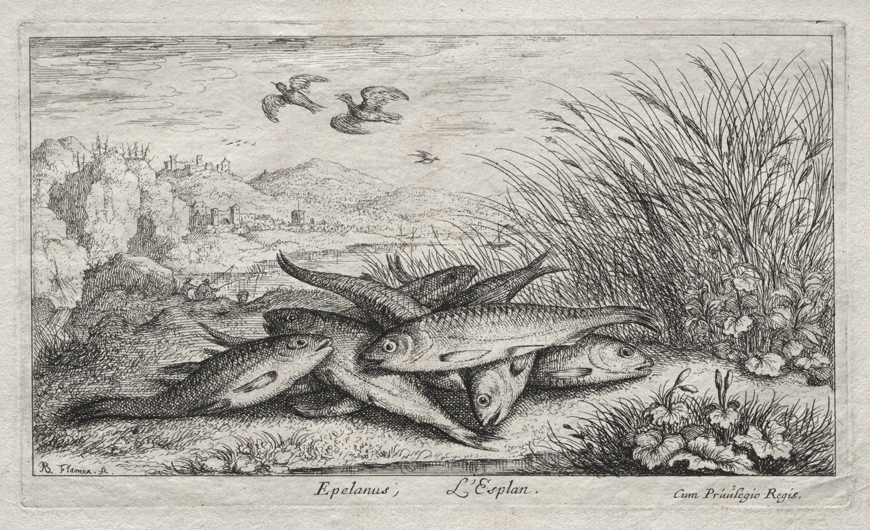 Tatlı Su Balığı, Bölüm II: Epelanus, L'Esplan by Albert Flamen