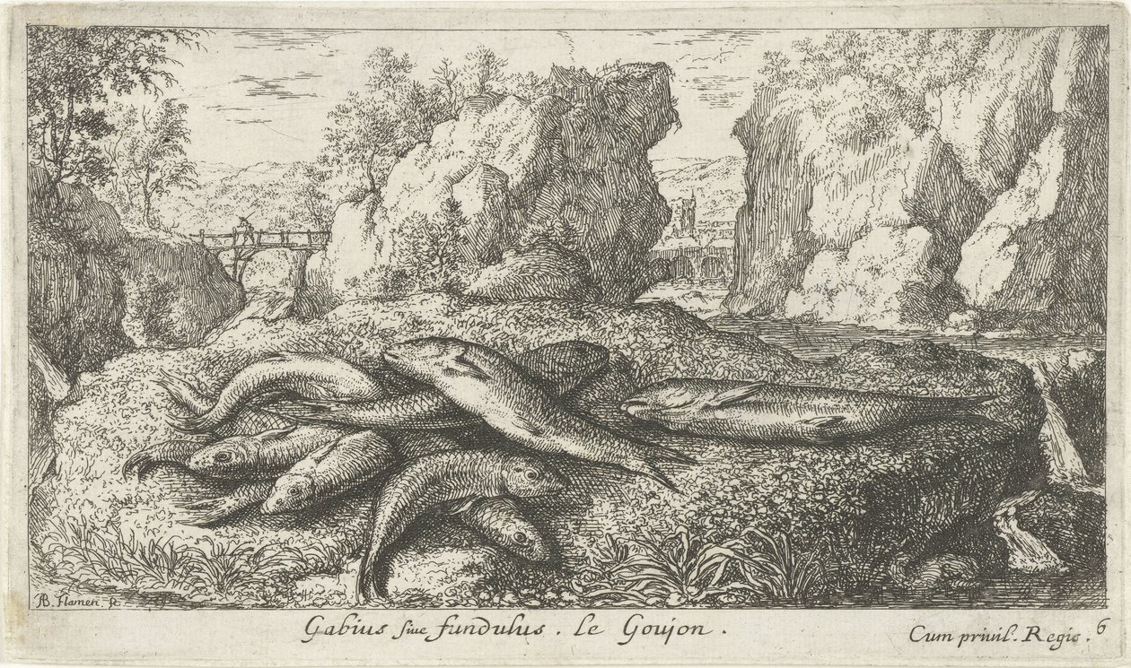Bir nehir kıyısında gobies Gabius siue fundulus. Le Goujon. (nesne üzerindeki başlık) Balık ve diğer deniz canlıları - tatlı su ikinci serisi (dizi başlığı) İkinci parti de Poissons d