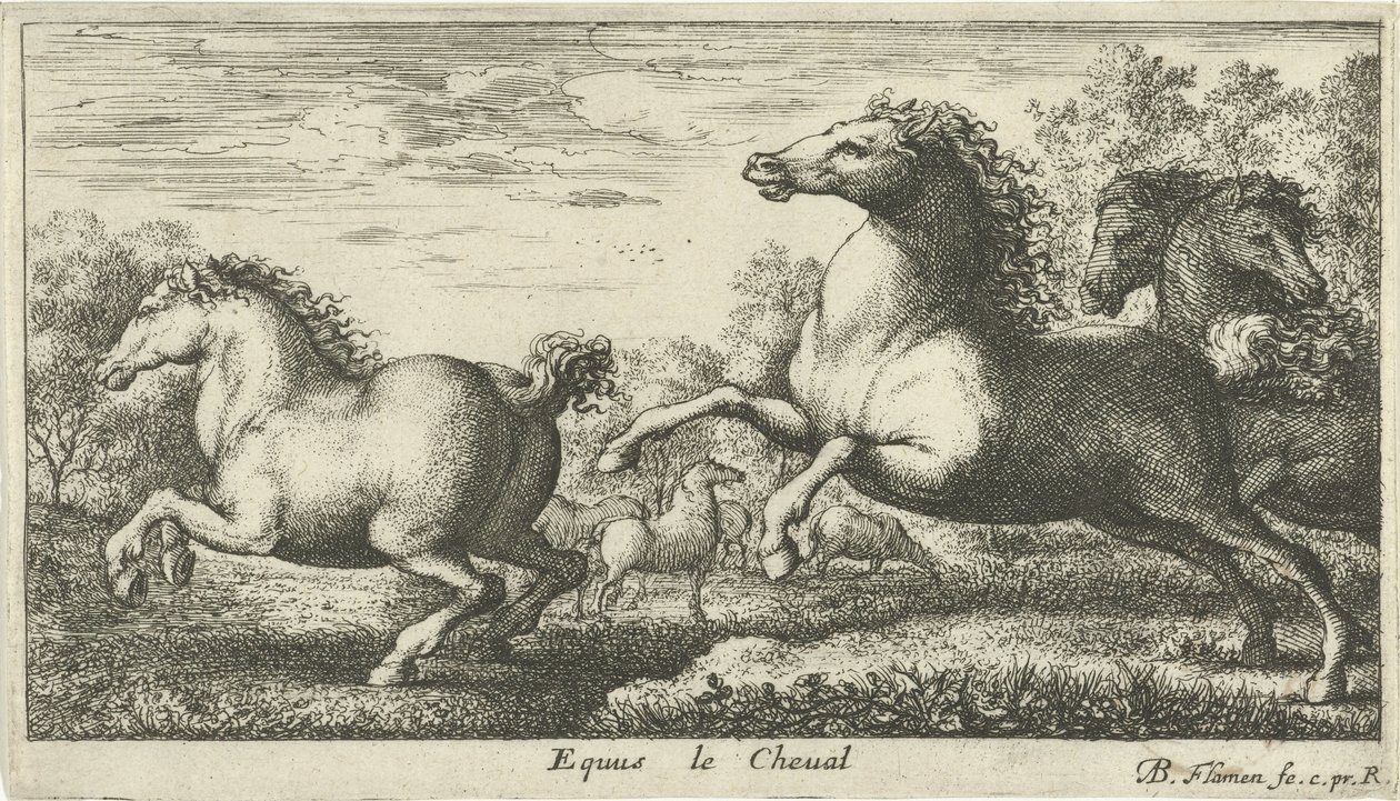 Atlar Equus le Cheval (nesne üzerindeki başlık) Farklı hayvan türleri (dizi başlığı) by Albert Flamen