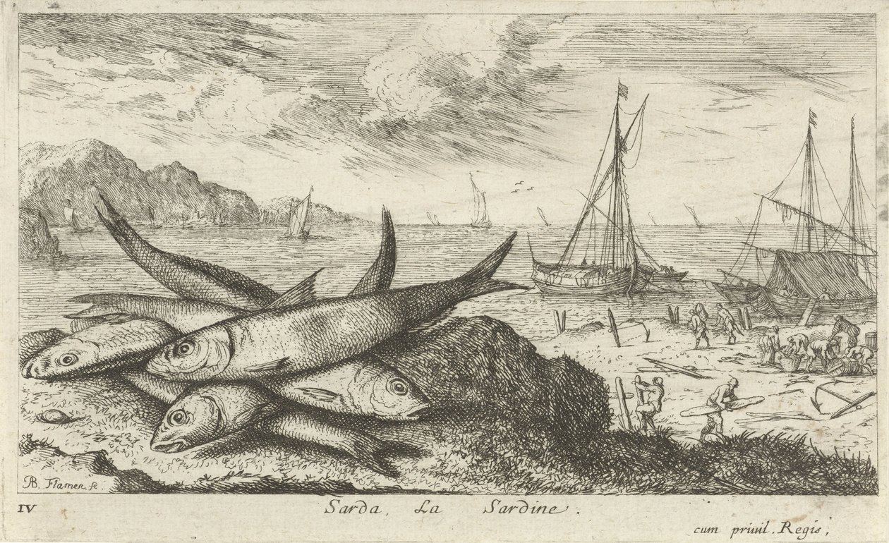 Sahilde Sardalya Sarda, La Sardalya. (nesne üzerindeki başlık) Balıklar ve diğer deniz canlıları - tuzlu su ilk seri (dizi başlığı) Divers Especes de Poissons de mer (dizi başlığı) by Albert Flamen