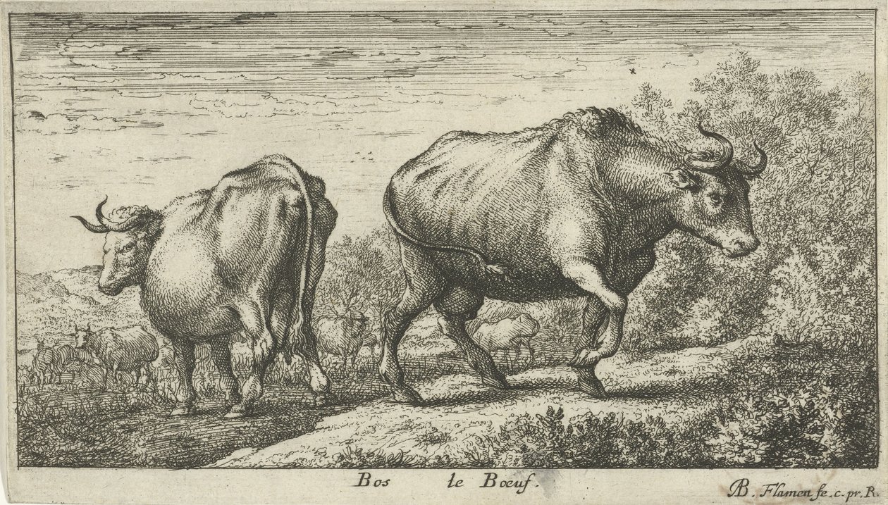 boğalar Bos le Boeuf (nesne üzerindeki başlık) Farklı hayvan türleri (dizi başlığı) by Albert Flamen