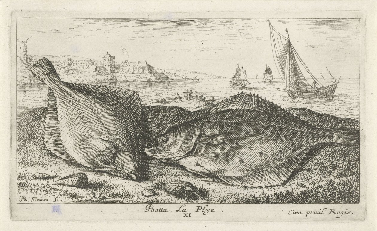 Sahilde iki yassı balık psetta. La Plye. (nesne üzerindeki başlık) Balık ve diğer deniz canlıları - tuzlu su ikinci serisi (dizi başlığı) Poissons de mer (dizi adı) by Albert Flamen