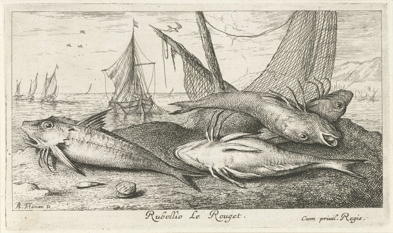 Sahilde dört barbunya Rubellio Le Rouget. (nesne üzerindeki başlık) Balık ve diğer deniz canlıları - tuzlu su ikinci serisi (dizi başlığı) Poissons de mer (dizi adı) by Albert Flamen