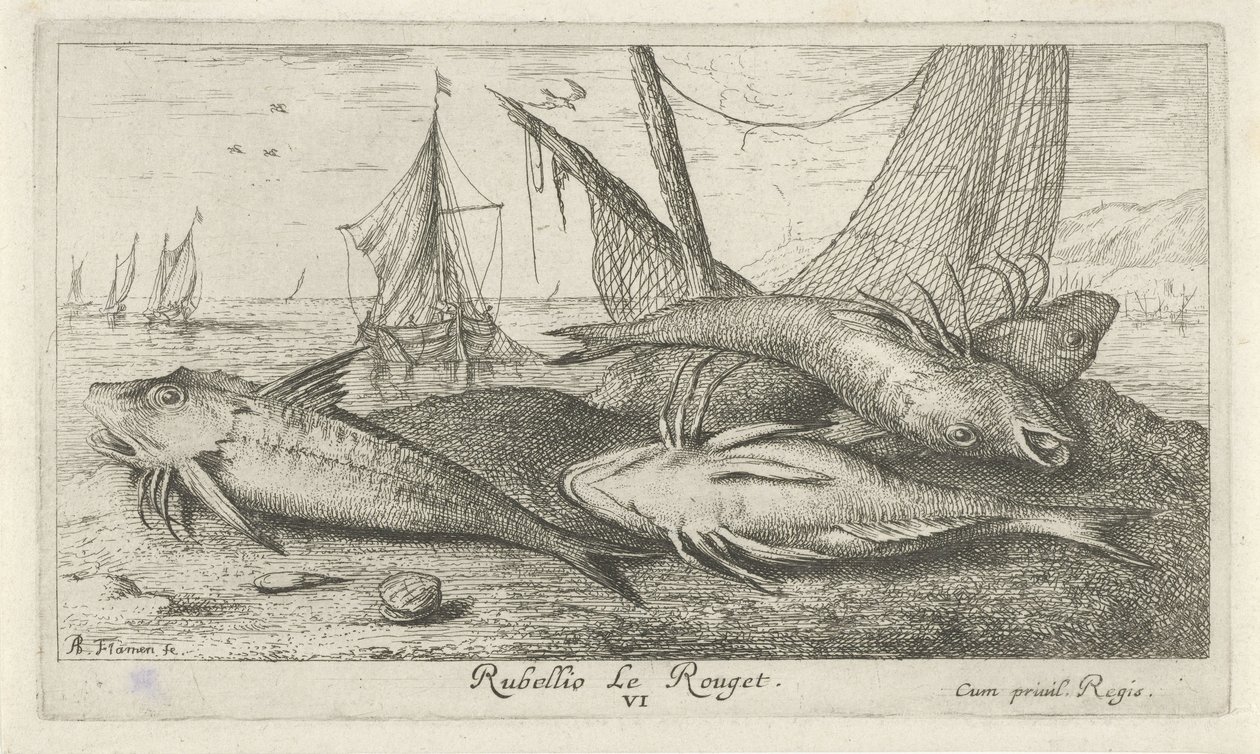 Sahilde dört barbunya Rubellio Le Rouget. (nesne üzerindeki başlık) Balık ve diğer deniz canlıları - tuzlu su ikinci serisi (dizi başlığı) Poissons de mer (dizi adı) by Albert Flamen