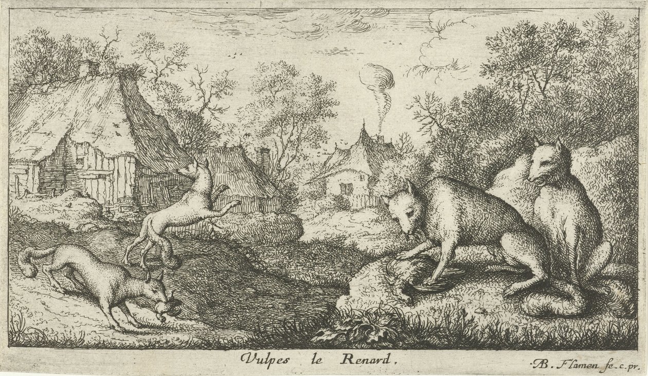 tilkiler Vulpes le Renard (nesnedeki başlık) Farklı hayvan türleri (dizi başlığı) by Albert Flamen
