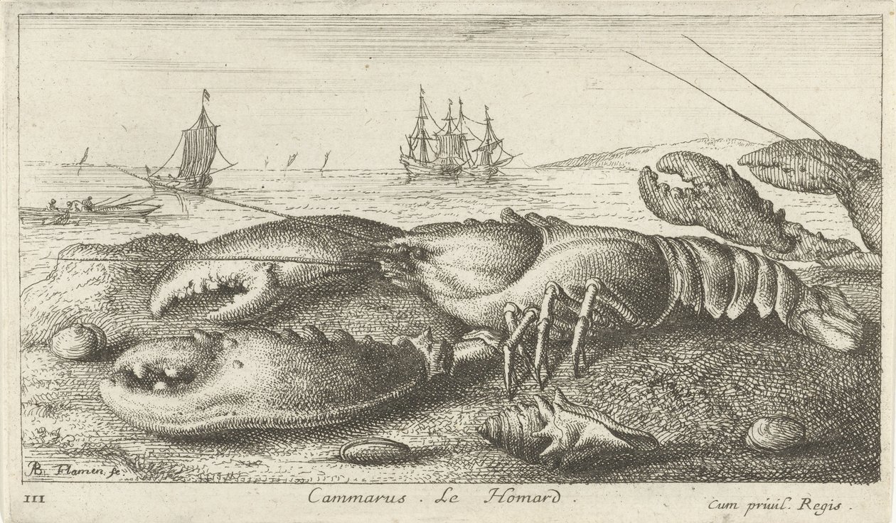 Cammarus sahilinde ıstakoz. Le Homard (nesne üzerindeki başlık) Balık ve diğer deniz hayvanları - tuzlu su ilk serisi (dizi başlığı) Diverses Especes de Poissons de mer (dizi başlığı) by Albert Flamen