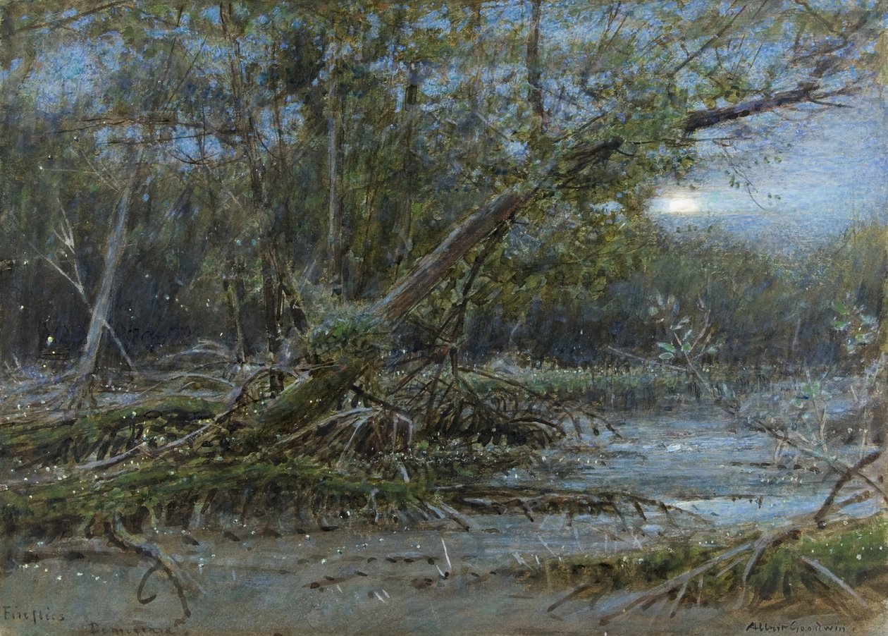 Ateşböcekleri, Demerera, c.1902 (kağıt üzerinde w/c ve gövde rengi) by Albert Goodwin