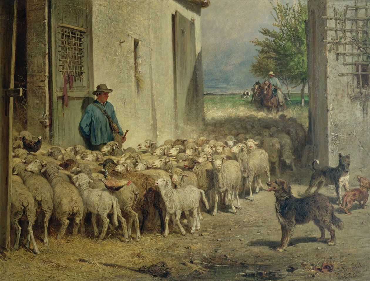 Koyun Ağı