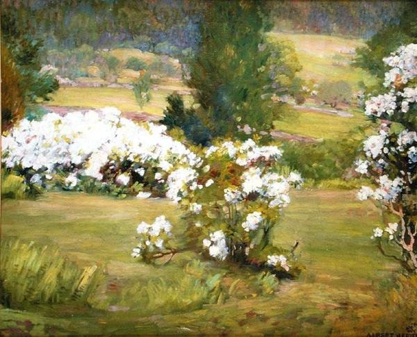 Açan Çiçekler, c.1925 (tuval üzerine yağlı boya) by Albert Herter