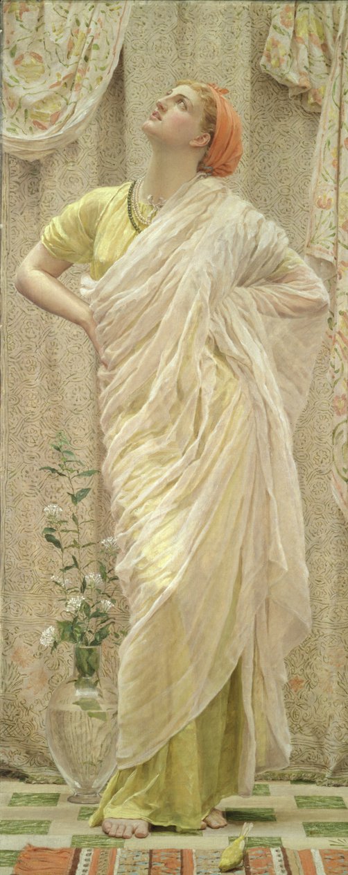 kuşlar by Albert Joseph Moore