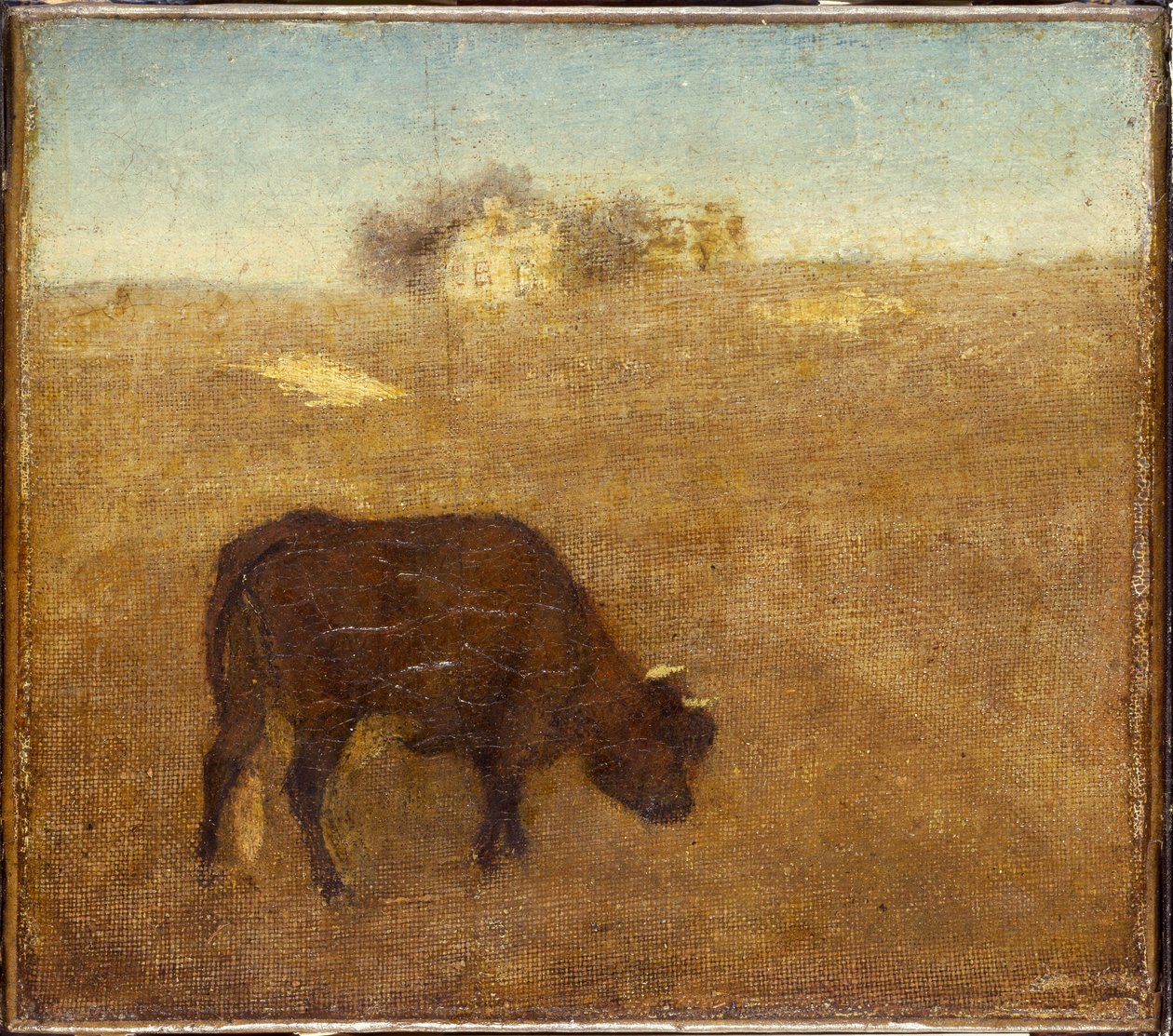 Akşam Glow, Yaşlı Kızıl İnek, 1870