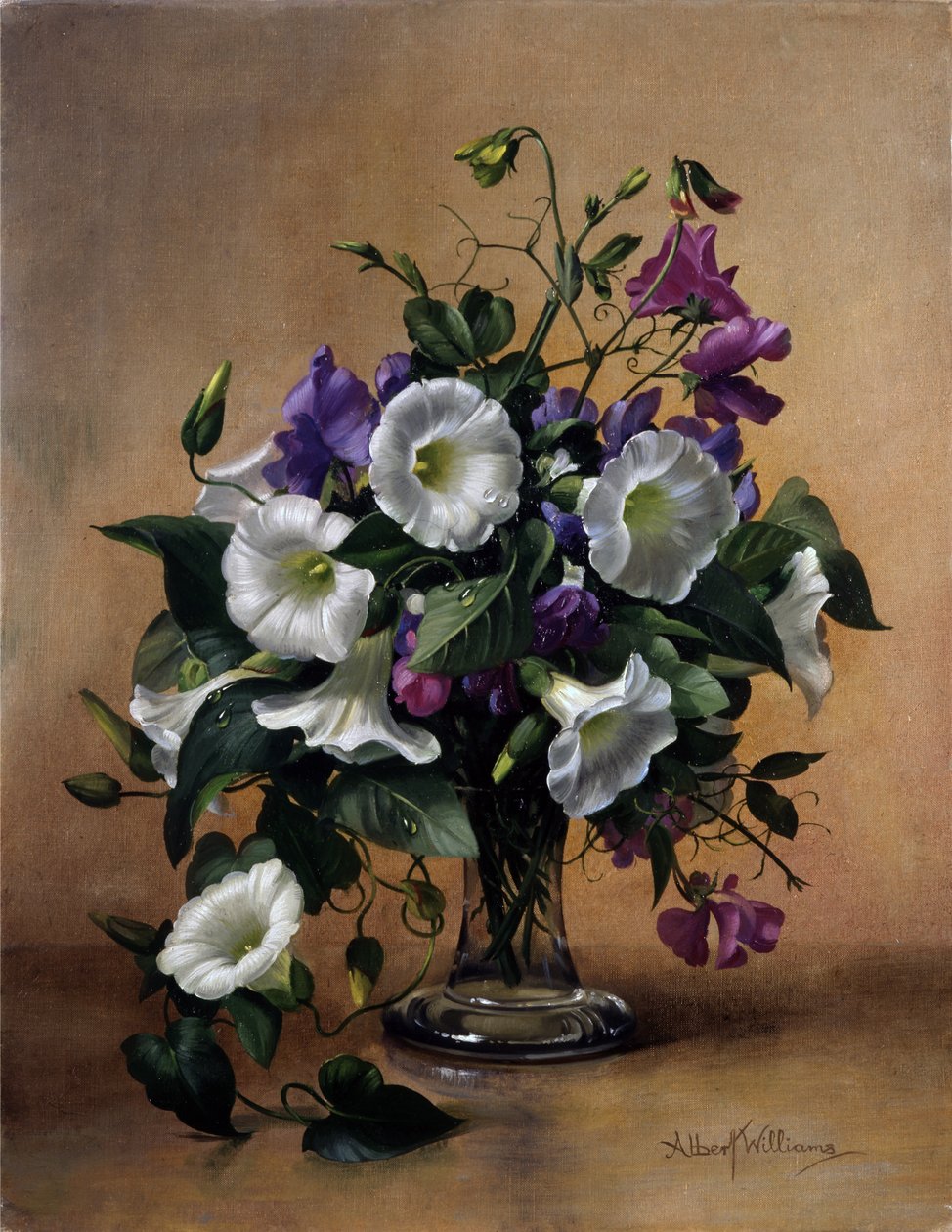  by Albert Williams