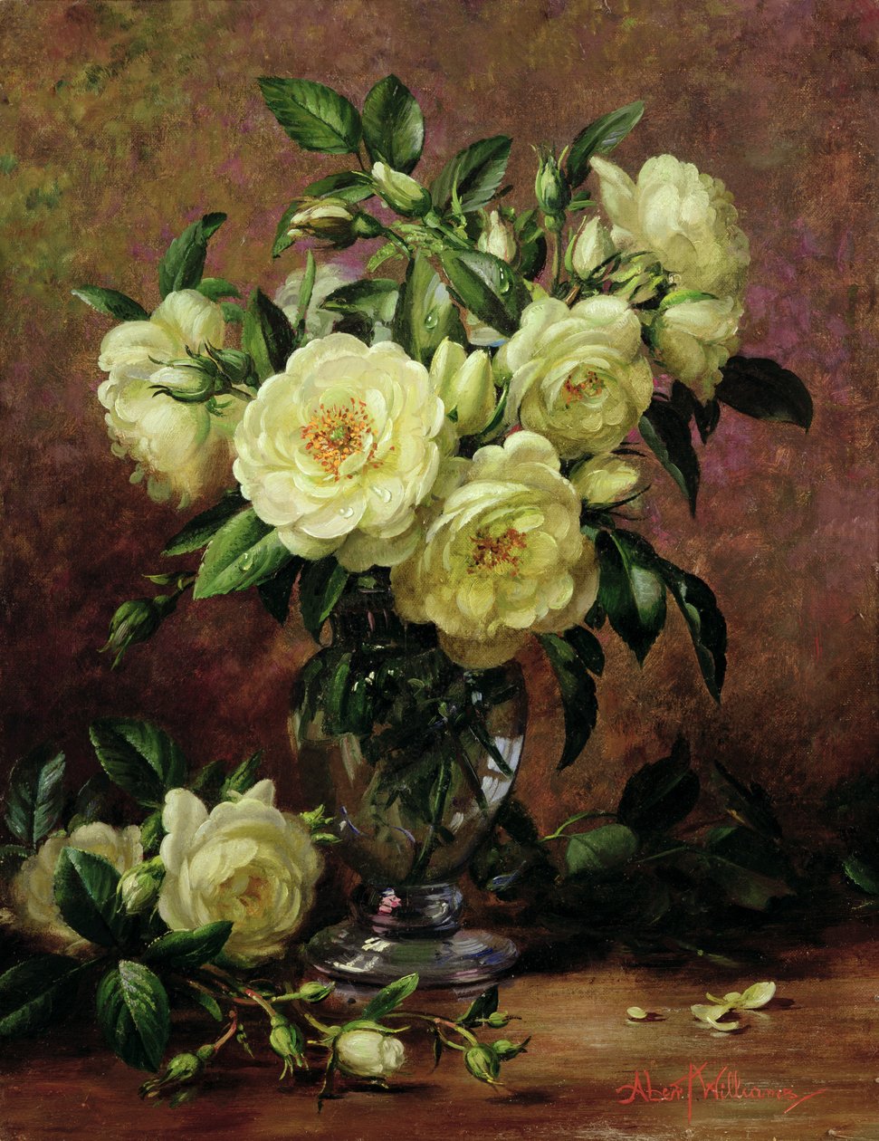 Beyaz Güller, Gönülden Bir Hediye by Albert Williams