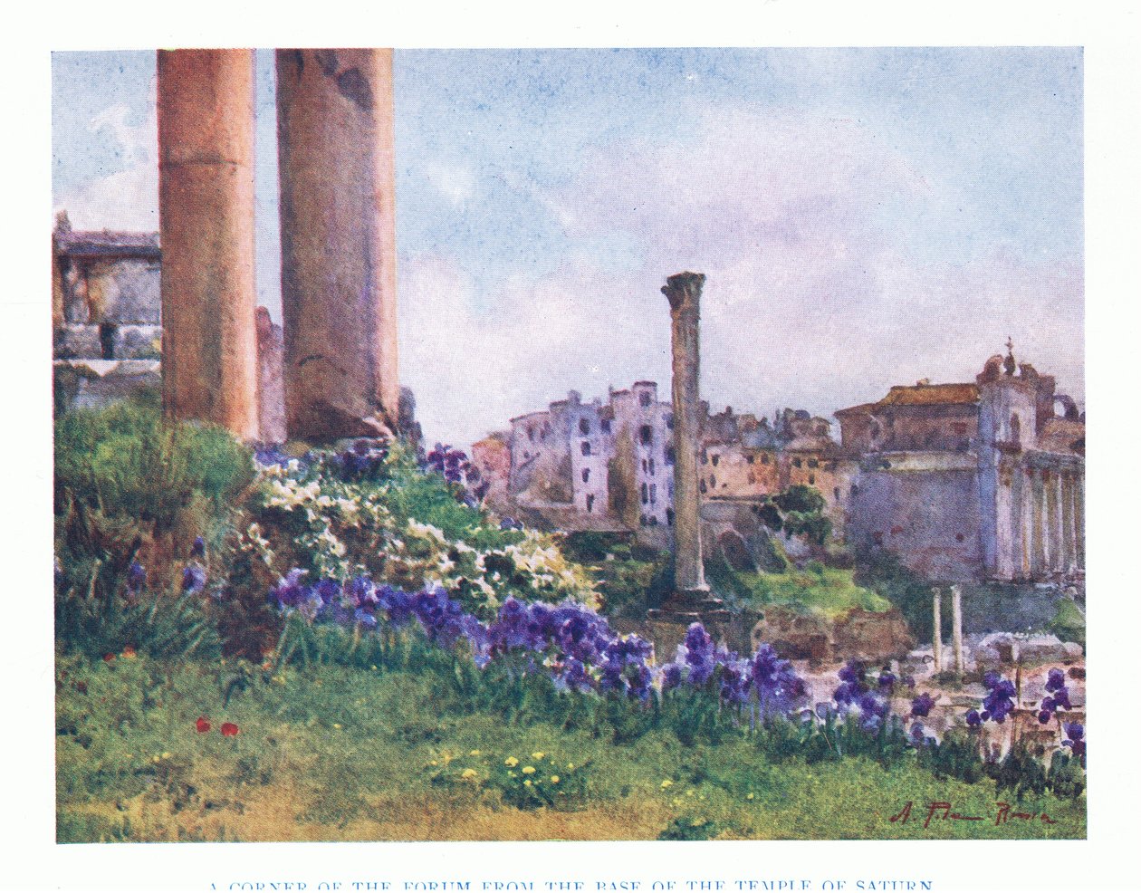 Forum