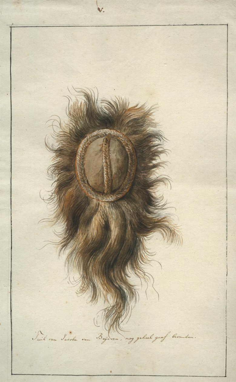 Jacoba van Beijeren