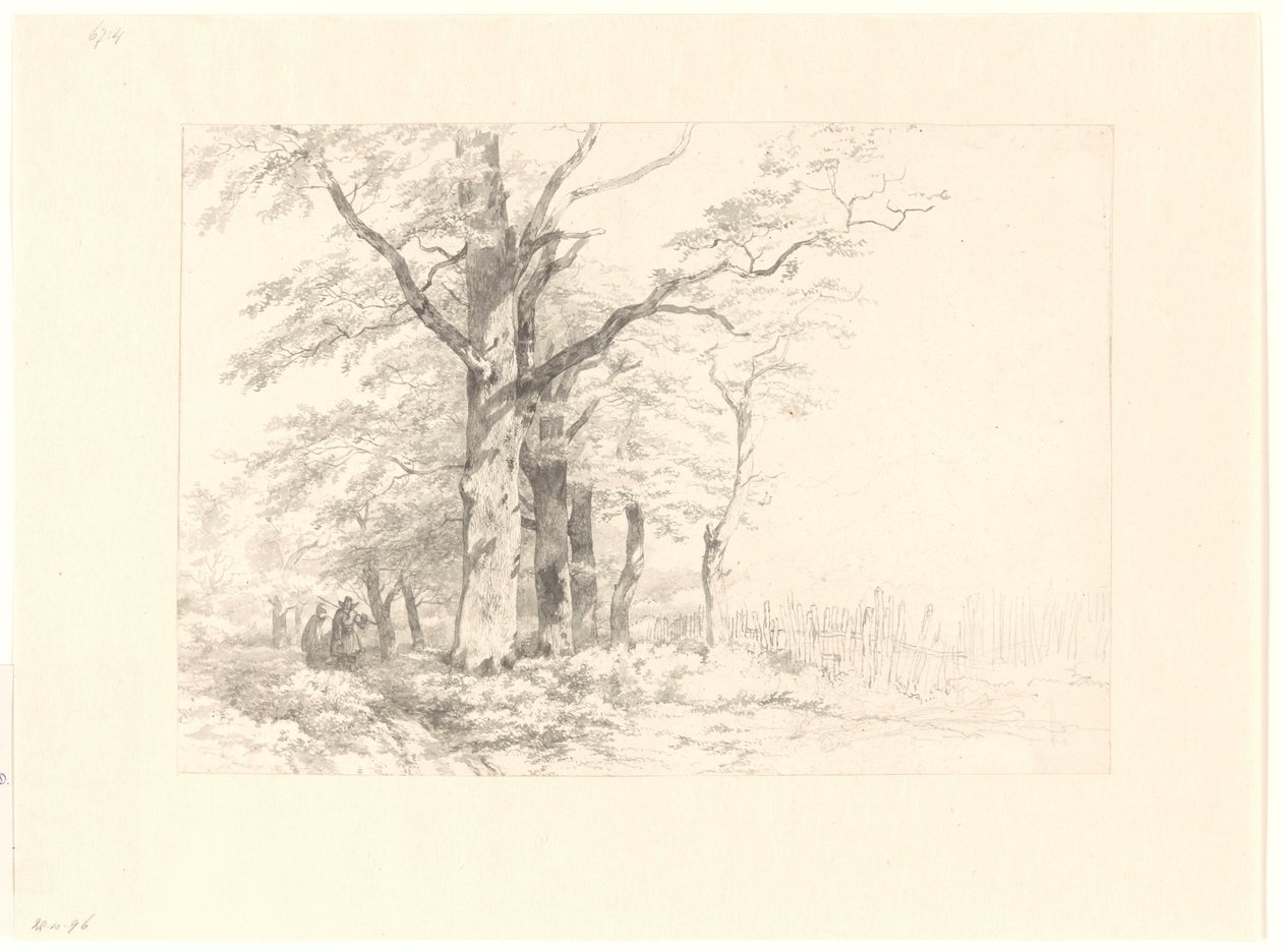 Bir manzarada meşe çalışması by Albertus Brondgeest