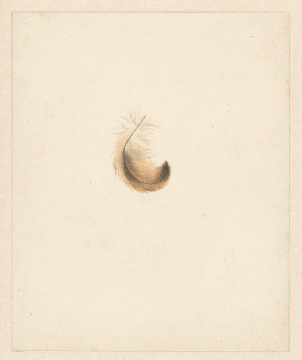 Bir tüyün incelenmesi by Albertus Steenbergen