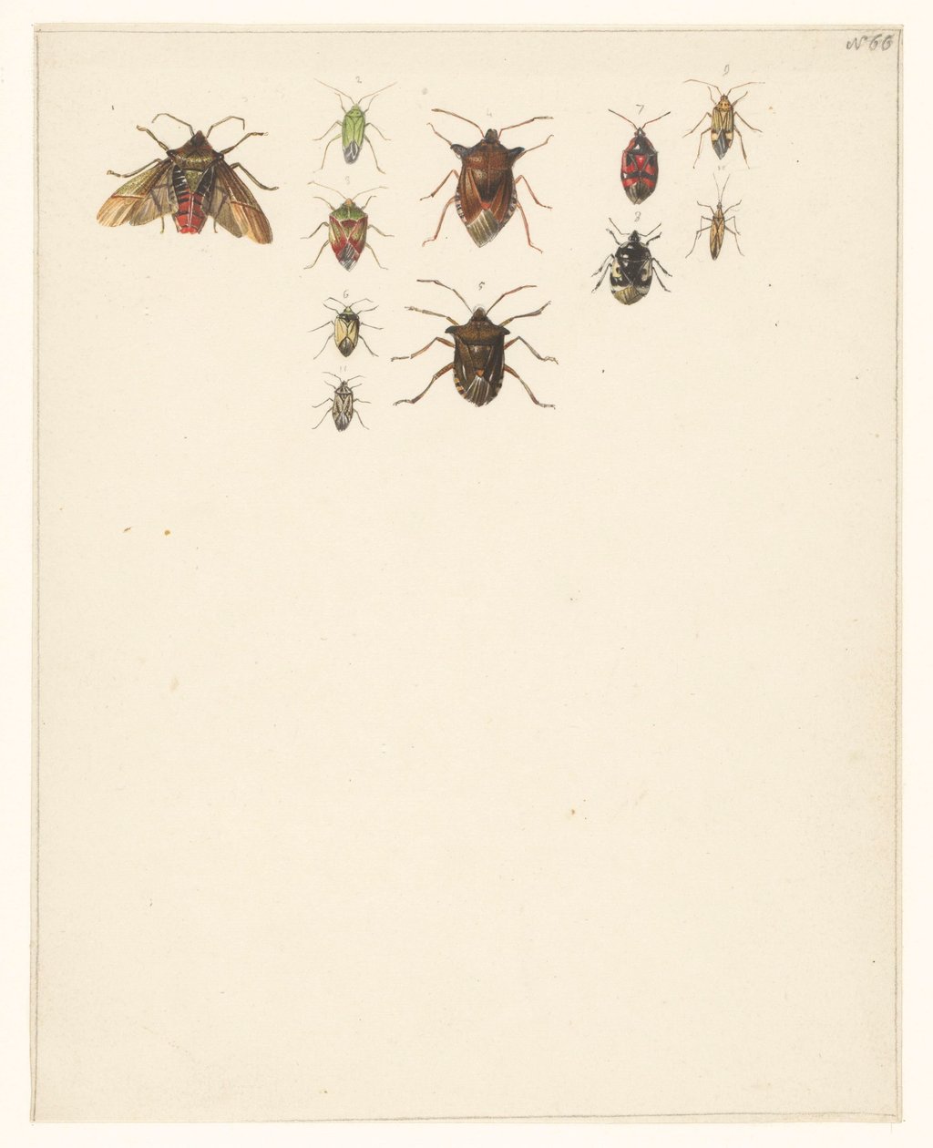 On bir farklı böceğin olduğu çalışma sayfası by Albertus Steenbergen
