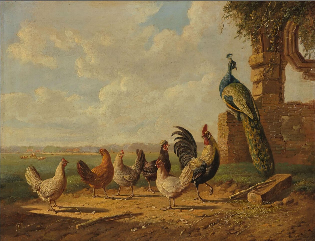  by Albertus Verhoesen