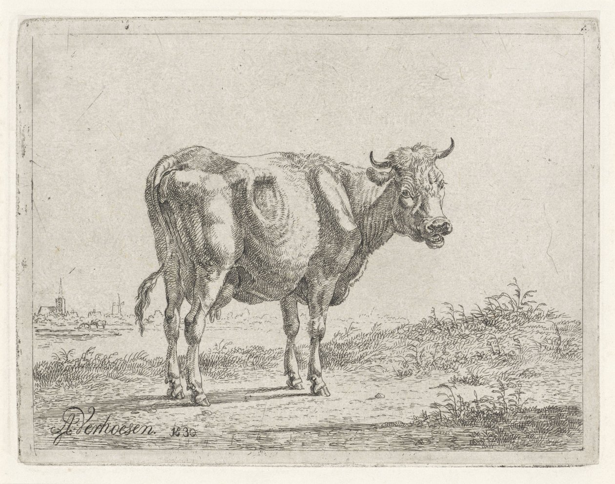 ayakta inek by Albertus Verhoesen