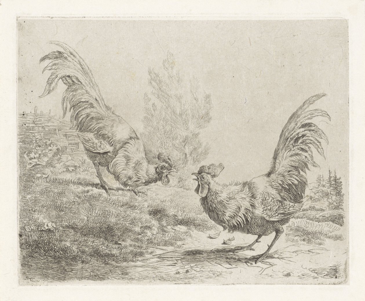 İki dövüşen horoz by Albertus Verhoesen