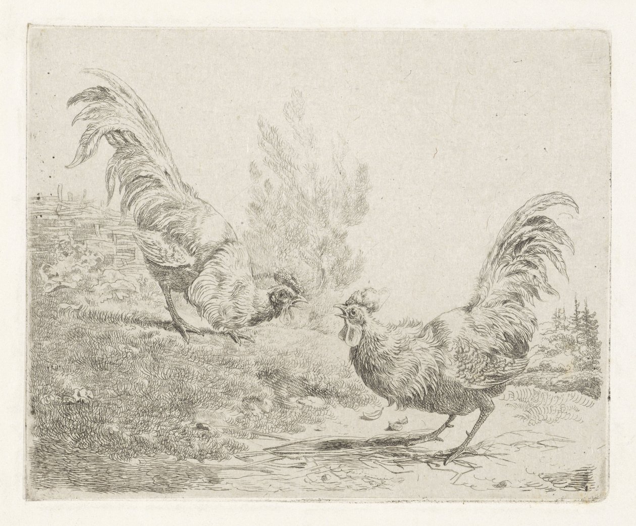 İki dövüşen horoz by Albertus Verhoesen