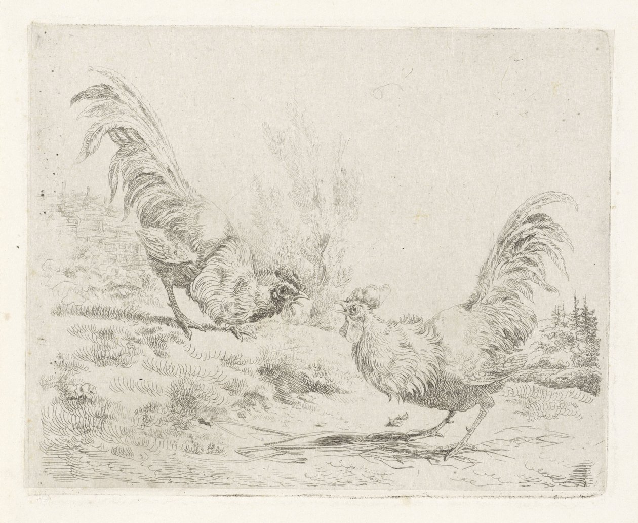 İki dövüşen horoz by Albertus Verhoesen