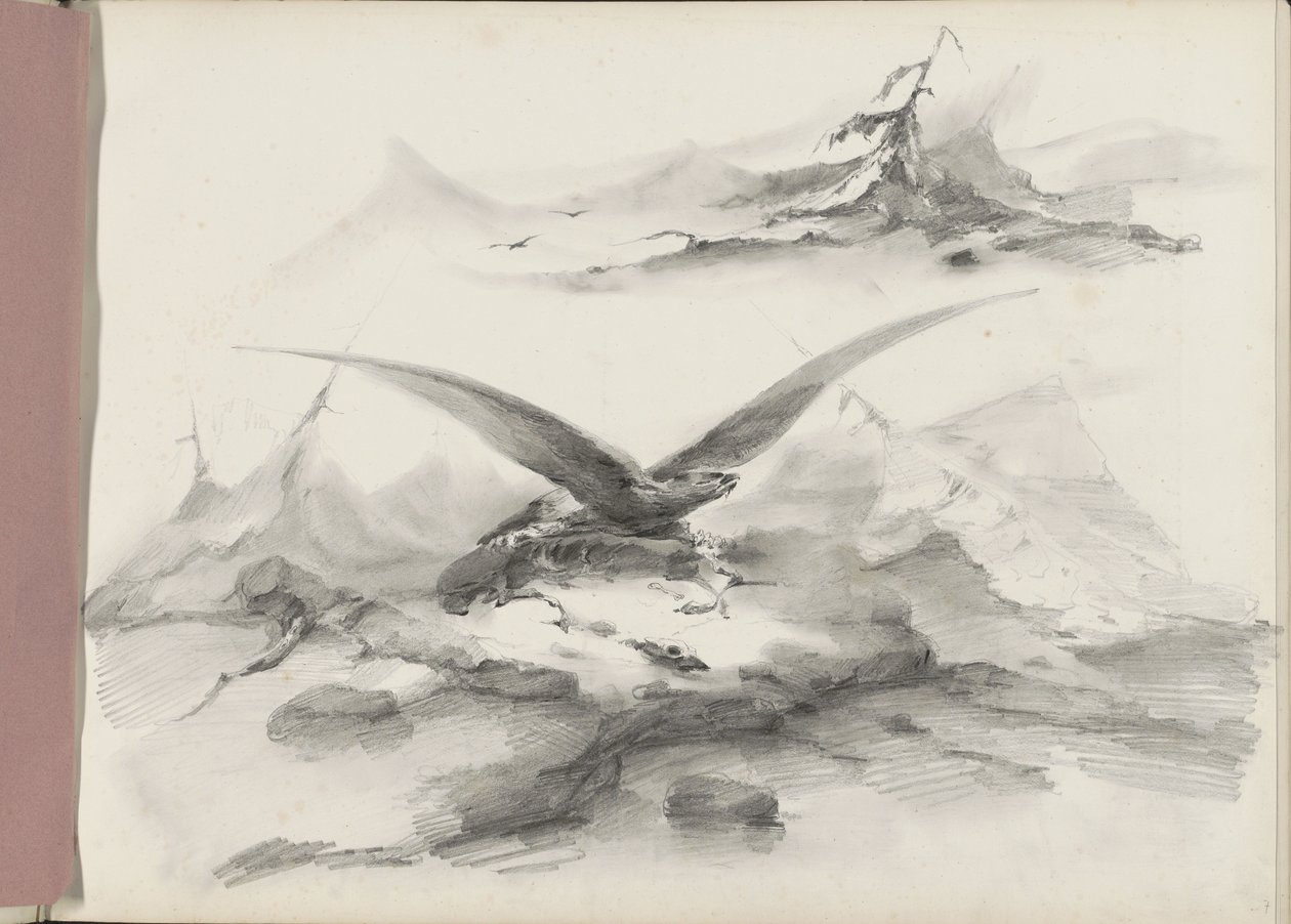Dağlarla bir sahil üzerinde uçan kartal by Albertus van Beest