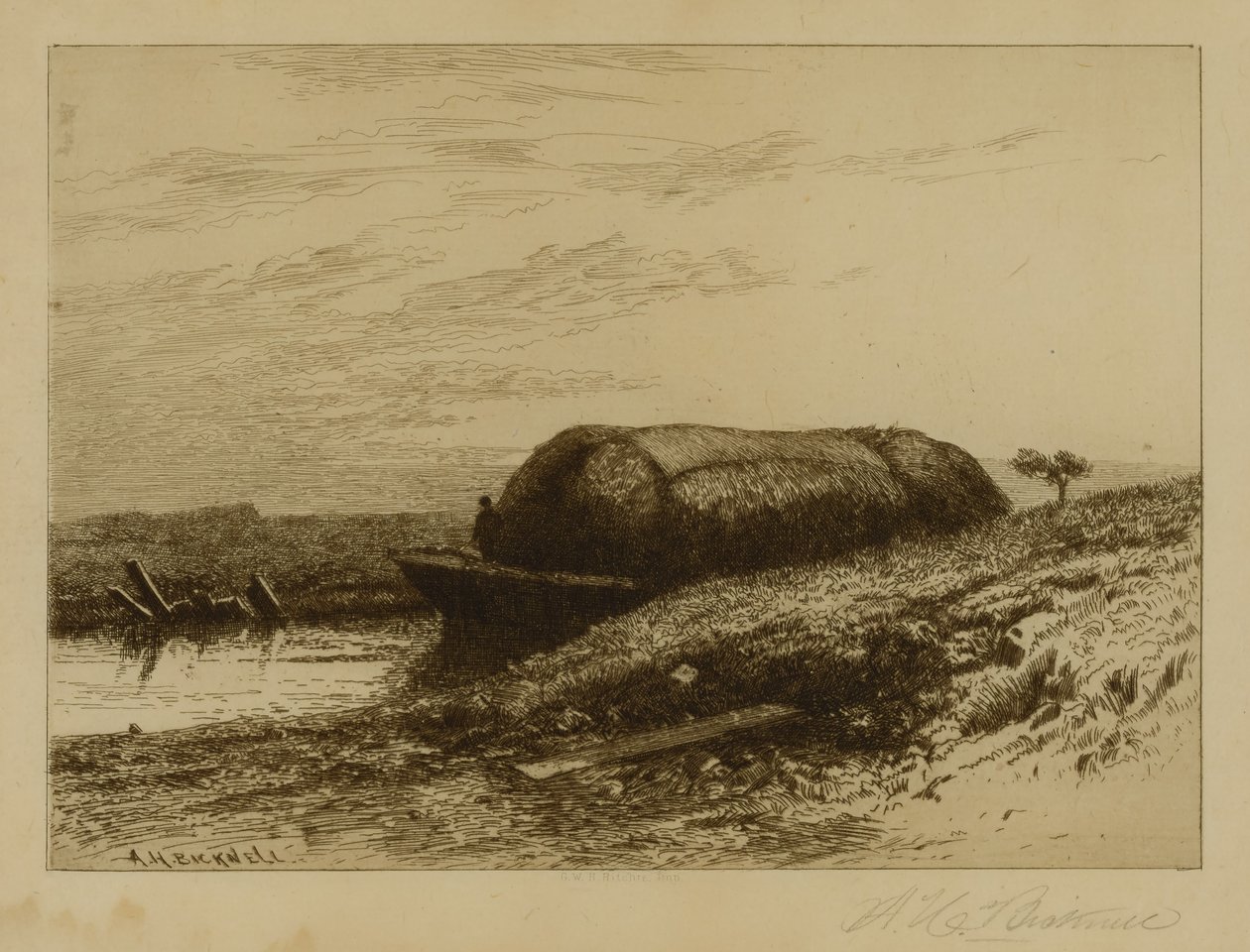  by Albion Harris Bicknell