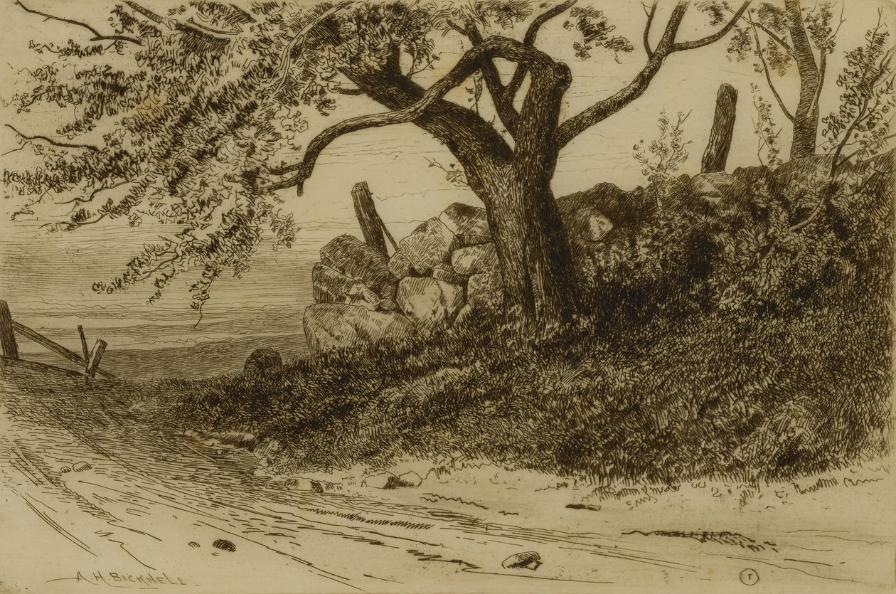  by Albion Harris Bicknell