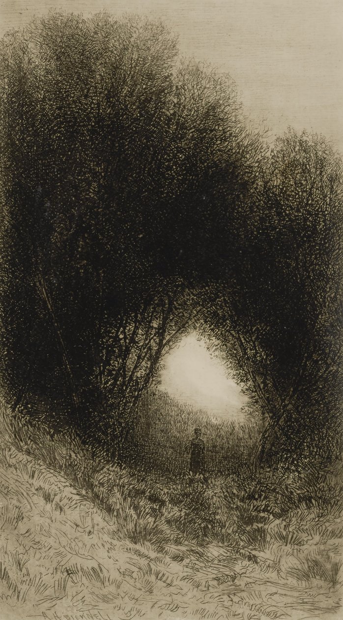  by Albion Harris Bicknell