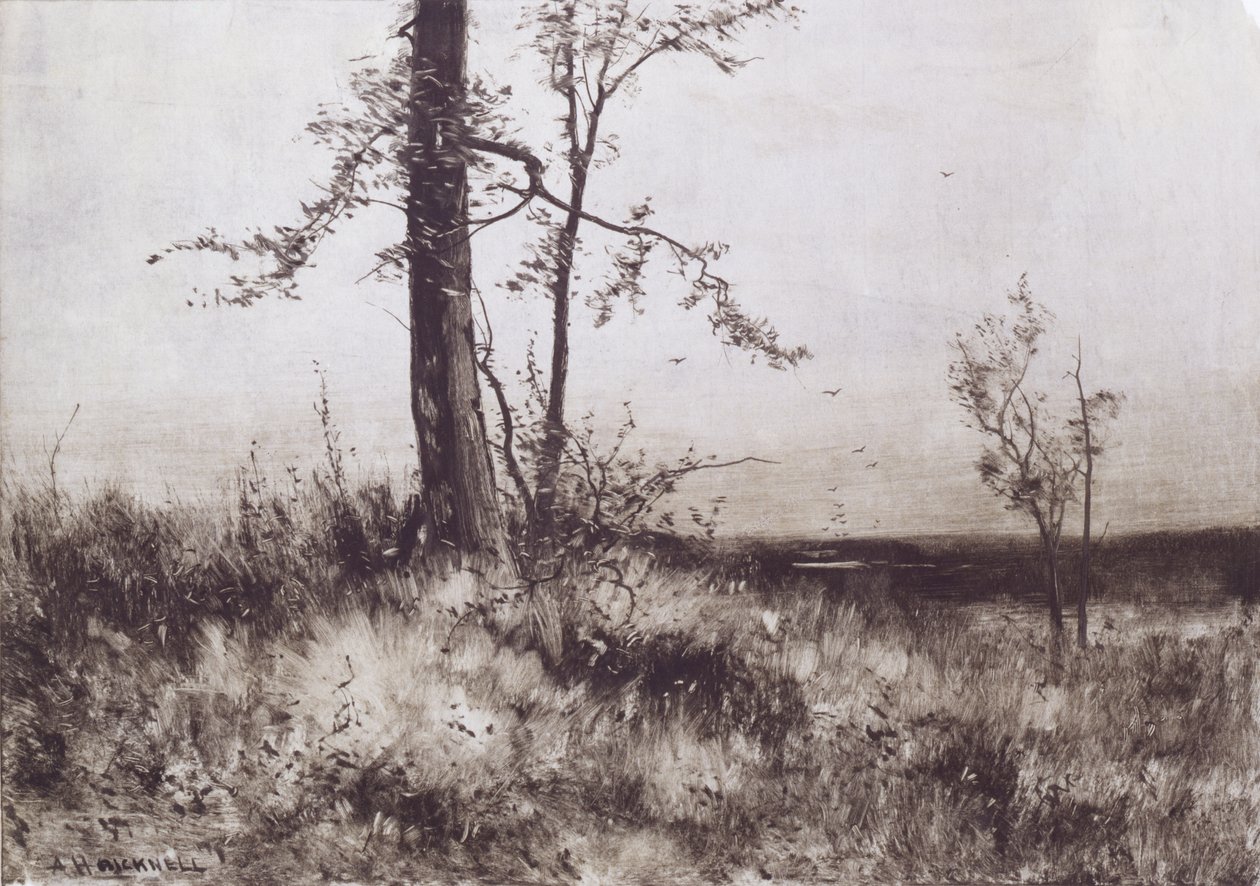  by Albion Harris Bicknell