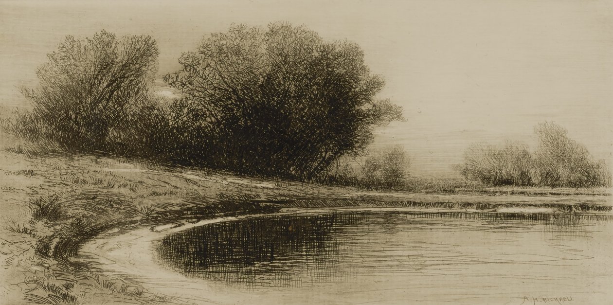  by Albion Harris Bicknell