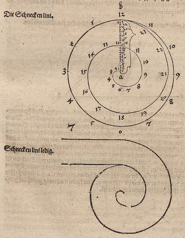 Arşimed Spirali by Albrecht Dürer