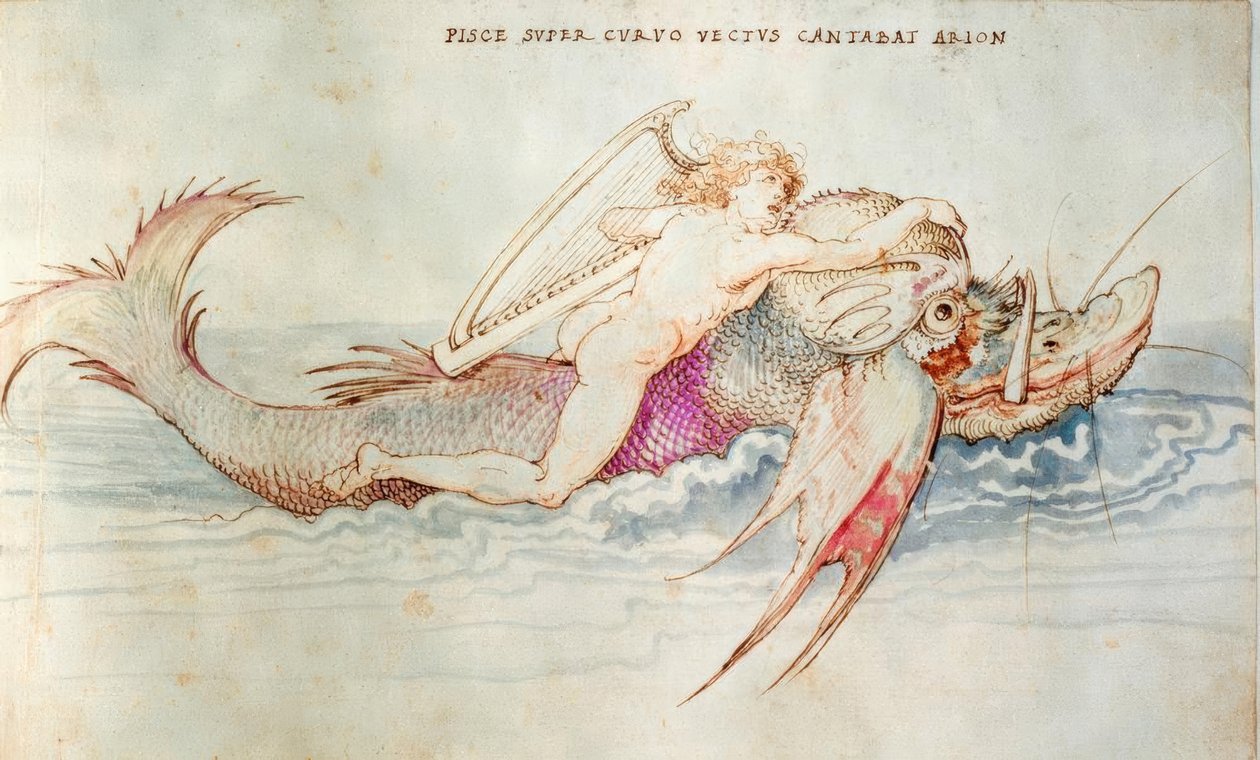 Arion bir yunus tarafından kurtarıldı by Albrecht Dürer