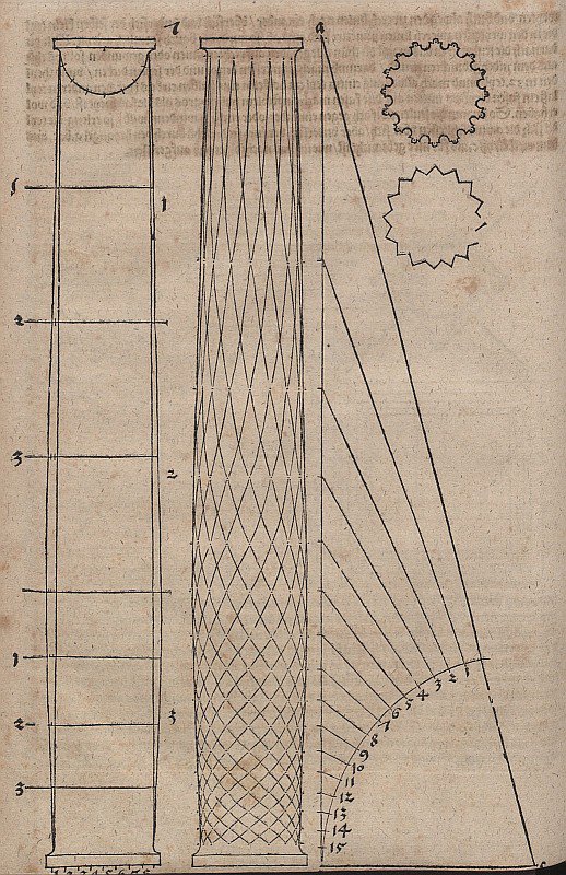 Soğanlı sütunlu şekil ve kesitler by Albrecht Dürer