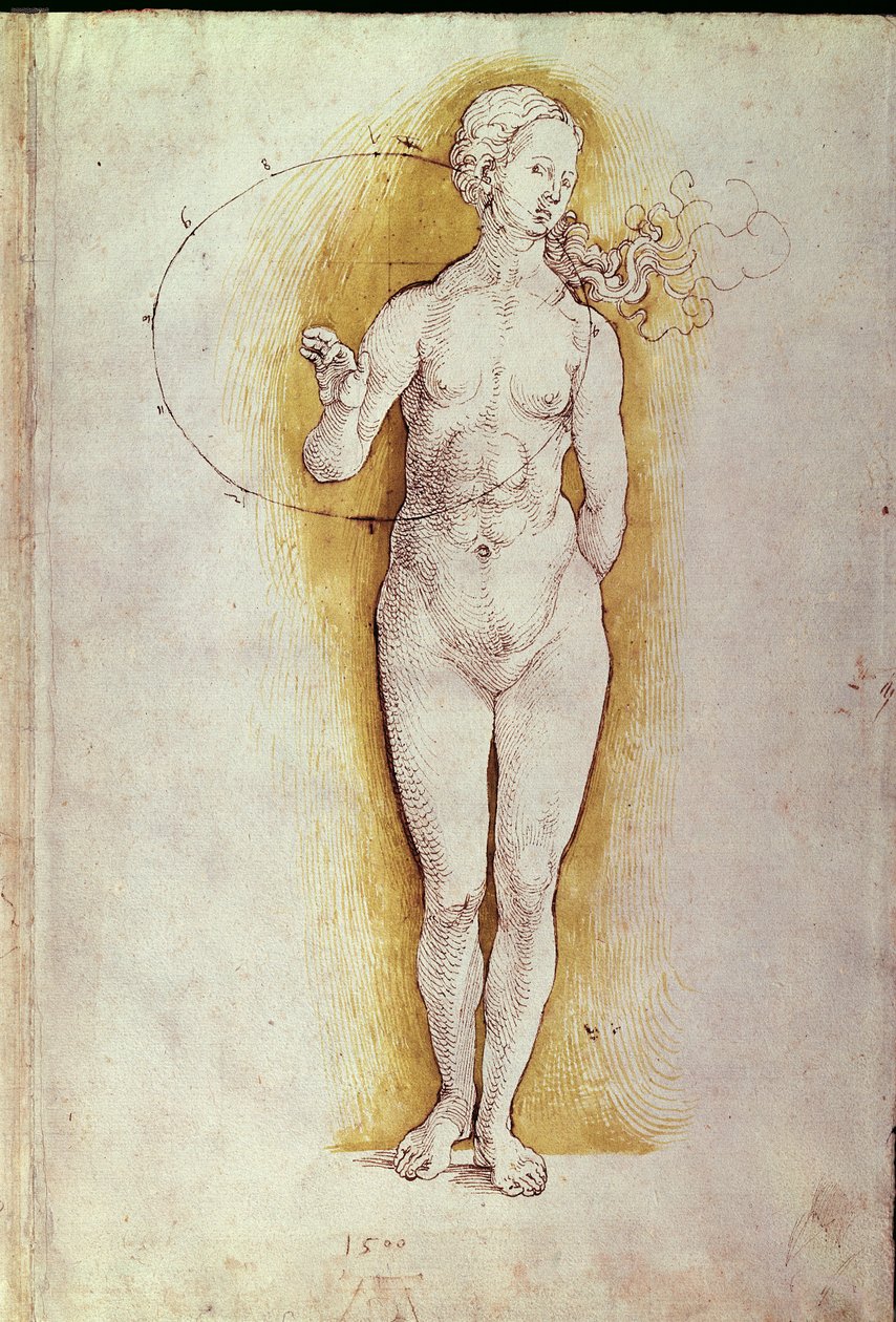 Abagore bambaye ubusa (ikaramu na wino ku mpapuro) by Albrecht Dürer
