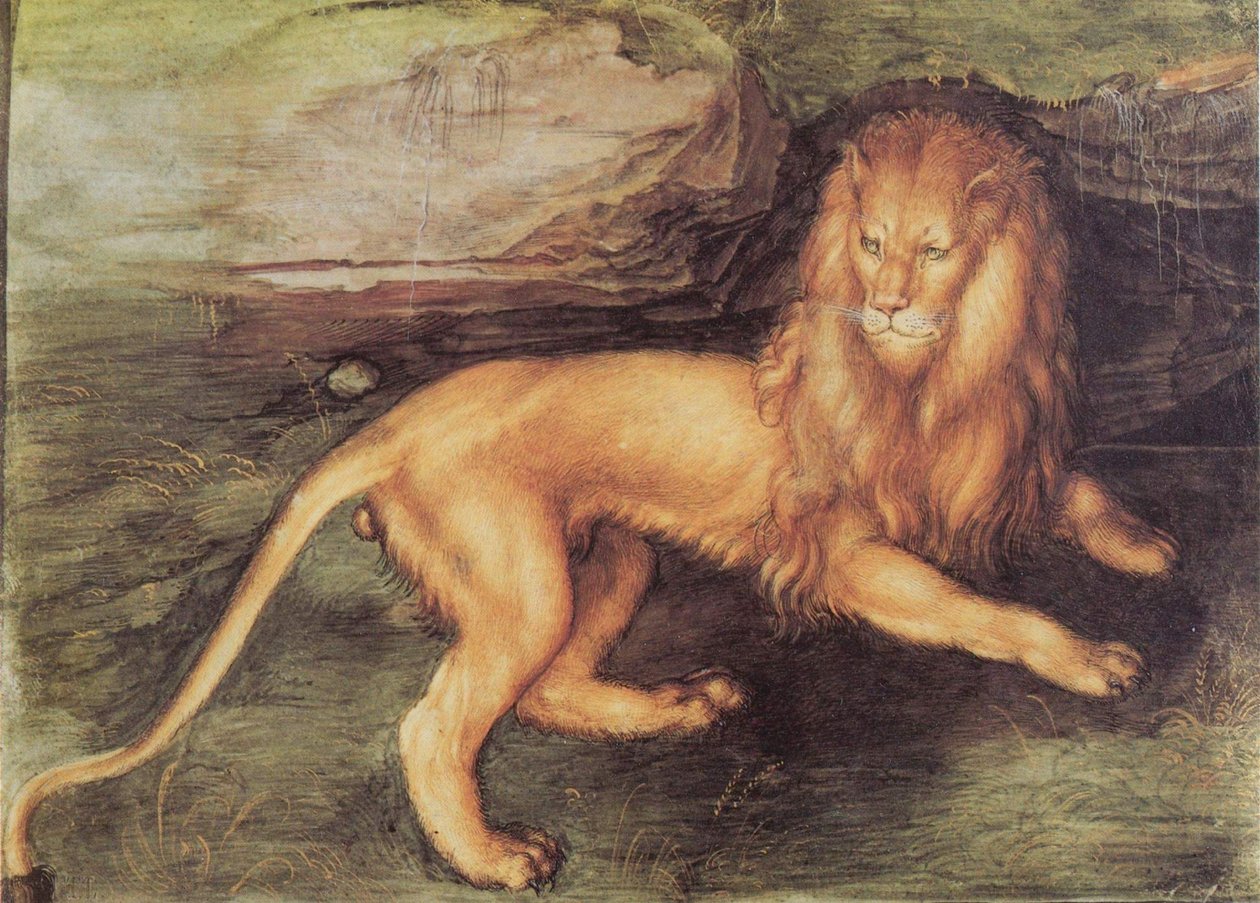 Aslan by Albrecht Dürer