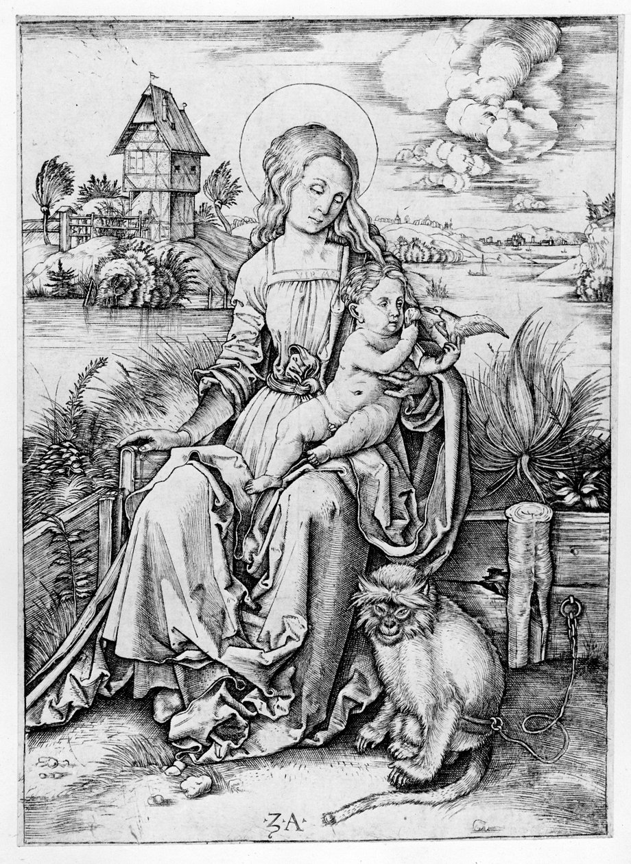 Maymun ile Madonna by Albrecht Dürer