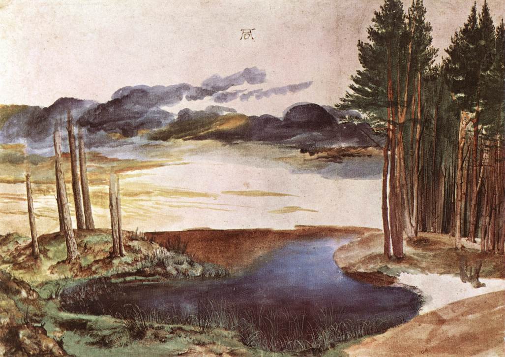 Ormandaki Gölet by Albrecht Dürer