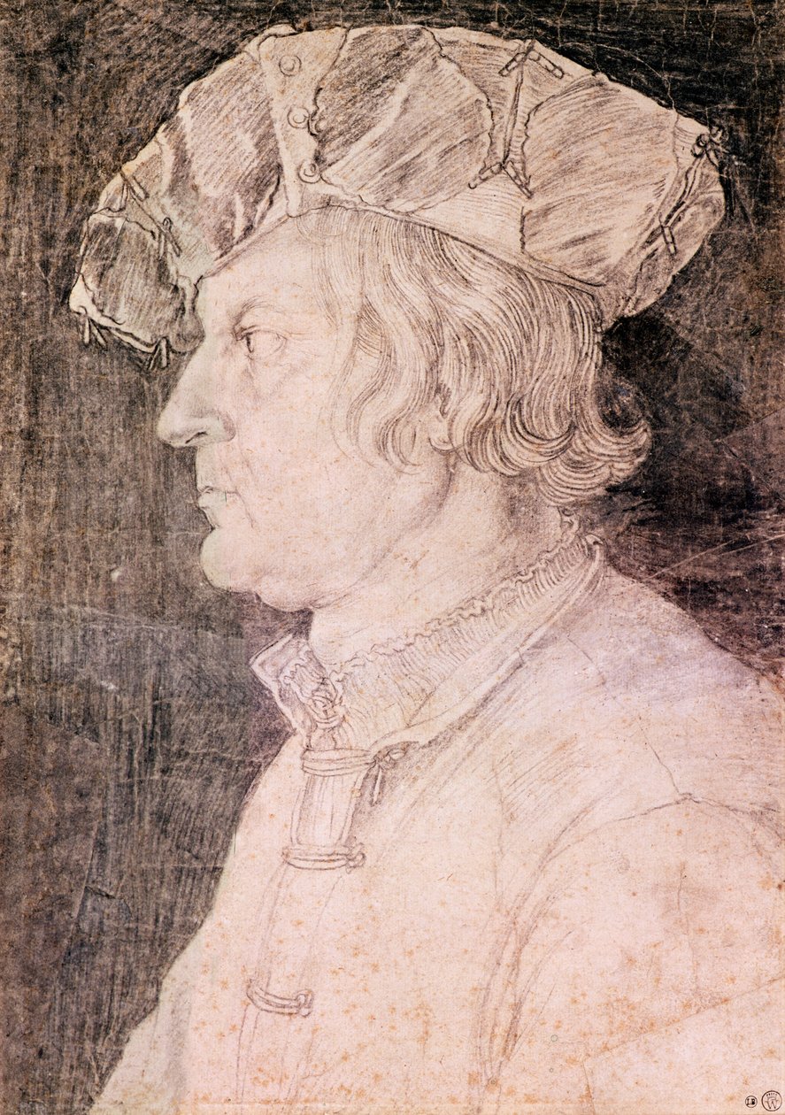 Bir Adamın Portresi by Albrecht Dürer